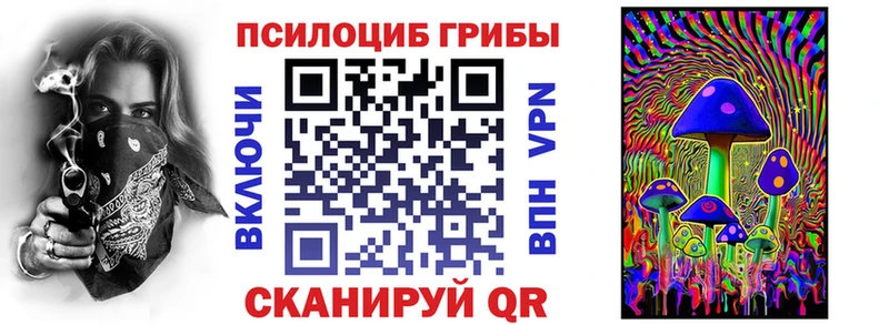 ссылка на мегу онион  купить  сайты  Бирюсинск  Псилоцибиновые грибы мицелий 